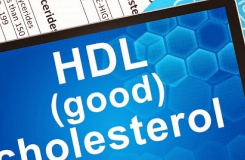 Καλή χοληστερίνη: Τι πρέπει να ξέρετε για την HDL... - Φωτογραφία 1