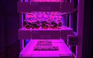 Φυτά «τρέφονται» με φως από λαμπτήρες LED - Φωτογραφία 1
