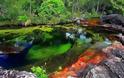 Ο πολύχρωμος ποταμός της Κολομβίας - Φωτογραφία 3