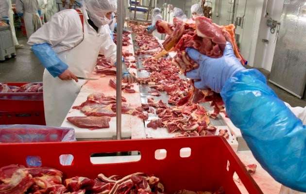 ΕΦΕΤ: Σε ασφαλή επίπεδα για την υγεία του καταναλωτή οι διοξίνες στο κρέας - Φωτογραφία 1