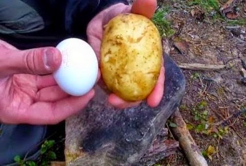 Πήρε μια πατάτα και έβαλε μέσα σε αυτήν ένα αυγό. Ο λόγος; Καταπληκτικός! - Φωτογραφία 1