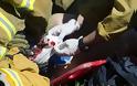 Νέες φωτογραφίες από το ατύχημα του Χάρισον Φορντ: Με το πρόσωπο γεμάτο αίματα ο σταρ...[photos] - Φωτογραφία 5