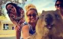 Οι Αυστραλοί ανακαλύπτουν το «πιο χαρούμενο ζωάκι του κόσμου»
