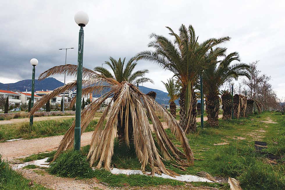 Eικόνες εγκατάλειψης: Ρημάζει το Ολυμπιακό χωριό! [photos] - Φωτογραφία 3