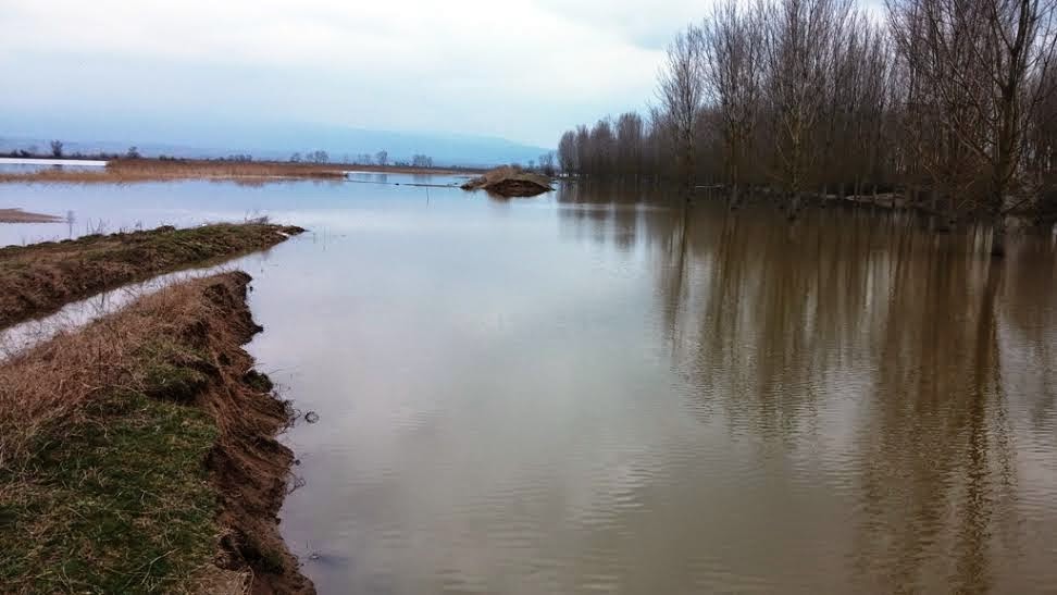 Συνδρομή Γ΄ ΣΣ στην Αντιμετώπιση Πλημμυρών στην Π.Ε Σερρών - Φωτογραφία 2