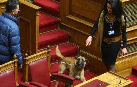 ΑΠΙΣΤΕΥΤΟ: Σκύλος έκανε βόλτες μέσα στη Βουλή! [photos] - Φωτογραφία 1