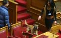 ΑΠΙΣΤΕΥΤΟ: Σκύλος έκανε βόλτες μέσα στη Βουλή! [photos]