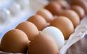 Κουβανοί δημόσιοι υπάλληλοι έκλεψαν 8.000.000 αυγά