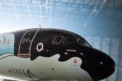 Το πιο χαριτωμένο Airbus A320 που είδατε ποτέ!