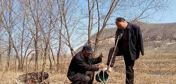Ένας τυφλός κι ένας χωρίς χέρια φύτεψαν 10.000 δέντρα - Φωτογραφία 3