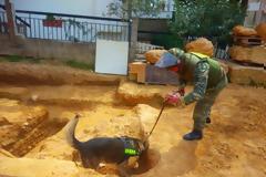 Εξουδετέρωση βλήματος από το ΤΕΝΞ