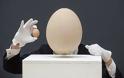 Γιγαντιαίο ημι-απολιθωμένο αυγό βγαίνει στο σφυρί