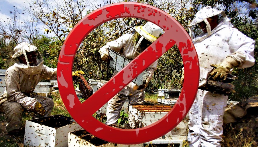 ΑΠΟΚΑΛΥΨΗ: ΔΙΩΧΝΟΥΝ τους μελισσοκόμους μαρτυρίες που σοκάρουν - Φωτογραφία 1