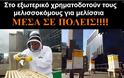 ΑΠΟΚΑΛΥΨΗ: ΔΙΩΧΝΟΥΝ τους μελισσοκόμους μαρτυρίες που σοκάρουν - Φωτογραφία 2