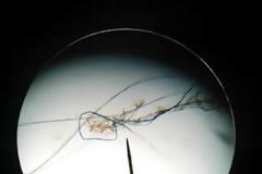 Τρελάθηκαν να ψεκάζουν πάνω από την πόλη με σχέδιο