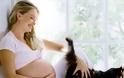 Τι να προσέξετε αν έχετε γάτα την περίοδο της εγκυμοσύνης;