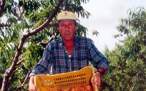 ΟΙ ΝΕΟΙ ΠΡΟΤΙΜΟΥΝ ΤΗΝ ΑΝΕΡΓΙΑ 27 Ελληνες έναντι 4.800 Αλβανών! - Φωτογραφία 2