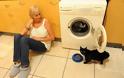 Έβαλε την γάτα στο πλυντήριο!
