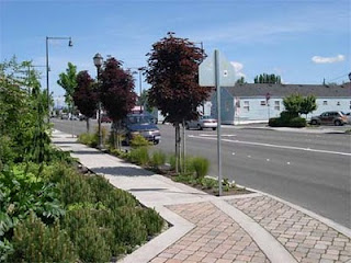 Ποια δένδρα είναι κατάλληλα για πεζοδρόμιο; - Φωτογραφία 2