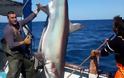 Καρχαρίας 3 μέτρων στην Κυλλήνη! - Φωτογραφία 1