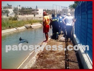 Τραγωδία στη Γεροσκήπου: 13χρονος πνίγηκε σε κανάλι - Φωτογραφία 4