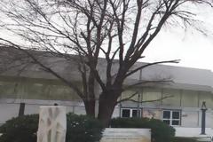 «Πλημμελής η φύλαξη της Πινακοθήκης»