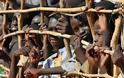 Ν. Σουδάν: Σχέδια αεροδιακομιδής χιλιάδων προσφύγων