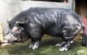 Τα πιο άσχημα γουρούνια του κόσμου (Photos)