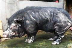 Τα πιο άσχημα γουρούνια του κόσμου (Photos)