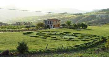 Περίεργο αγροτογλυφικό στο Riesi στην Σικελία στις 7 Μαΐου - Φωτογραφία 2