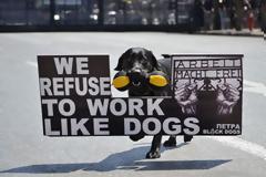 Austerity in Europe: what does it mean for ordinary people?