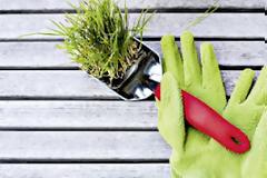 Φτιάξε τον τέλειο κήπο χωρίς πολλά έξοδα!