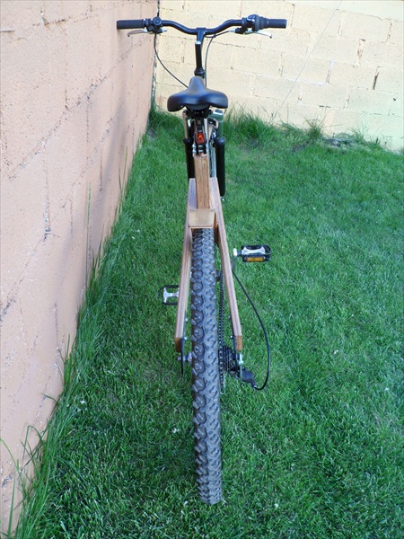 Οικολογικό ποδήλατο φτιαγμένο απο... ξύλο !!! - Φωτογραφία 5