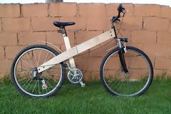 Οικολογικό ποδήλατο φτιαγμένο απο... ξύλο !!!