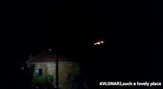 Αυλωνάρι: Έκαψαν την περιοχή - Φωτογραφία 1