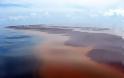 ΕΙΚΟΝΕΣ ΦΡΙΚΗΣ: Τα αποτελέσματα της διαρροής πετρελαίου στον Κόλπο του Μεξικού - Φωτογραφία 5