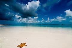 ΔΕΙΤΕ: Βουτήξτε στις πιο εξωτικές παραλίες