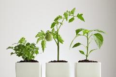 Τα τέλεια δώρα για τη γιορτή της μητέρας