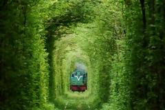 ΔΕΙΤΕ: Το τούνελ της αγάπης