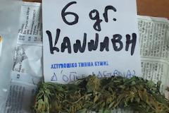 Άγιος Βλάσης: Τον πήγαν στο τμήμα με τις γλάστρες του