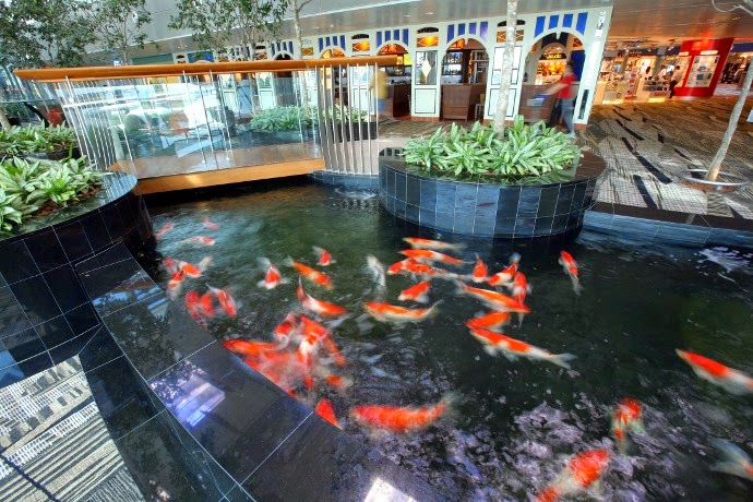 Changi: Ένας παράδεισος στη Σιγκαπούρη που θυμίζει... αεροδρόμιο! [photos] - Φωτογραφία 7