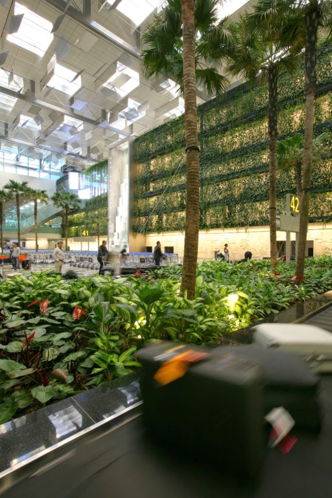Changi: Ένας παράδεισος στη Σιγκαπούρη που θυμίζει... αεροδρόμιο! [photos] - Φωτογραφία 8