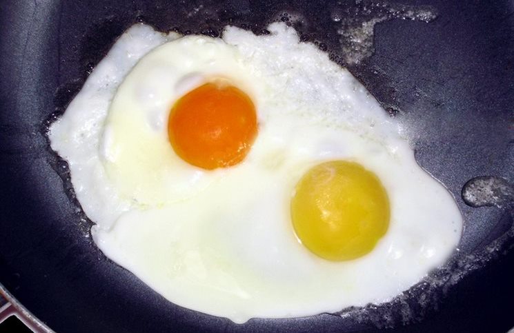 ΠΡΟΣΟΧΗ με τα αυγά! Πότε ο κρόκος αποτελεί διατροφική βόμβα για τον οργανισμό – Τί μαρτυρά το χρώμα του – Τί πρέπει να προσέχετε! - Φωτογραφία 3