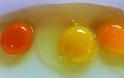 ΠΡΟΣΟΧΗ με τα αυγά! Πότε ο κρόκος αποτελεί διατροφική βόμβα για τον οργανισμό – Τί μαρτυρά το χρώμα του – Τί πρέπει να προσέχετε! - Φωτογραφία 1