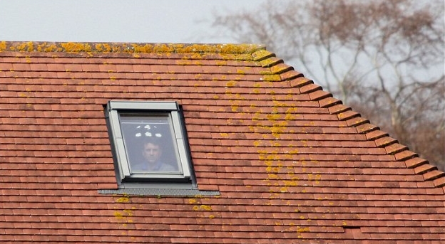Ο προπονητής της χρονιάς: Ηταν τιμωρημένος και είδε το ματς από... παράθυρο σπιτιού [photos] - Φωτογραφία 4