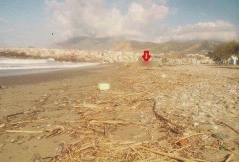 Δείτε τι ξέβρασε η θάλασσα στην παραλία του Κόκκινου Πύργου - Οι εικόνες που προκάλεσαν σάλο! [photos] - Φωτογραφία 1