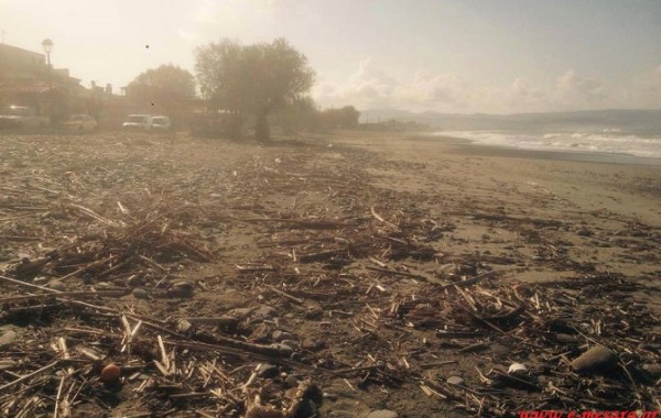 Δείτε τι ξέβρασε η θάλασσα στην παραλία του Κόκκινου Πύργου - Οι εικόνες που προκάλεσαν σάλο! [photos] - Φωτογραφία 3