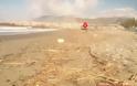 Δείτε τι ξέβρασε η θάλασσα στην παραλία του Κόκκινου Πύργου - Οι εικόνες που προκάλεσαν σάλο! [photos] - Φωτογραφία 2