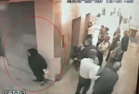 ΑΠΙΣΤΕΥΤΟ: Ηλικιωμένη τα κάνει σε διάδρομο νοσοκομείου! [video] - Φωτογραφία 1