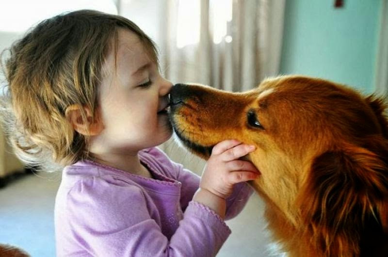 ΑΠΙΣΤΕΥΤΟ - Σας φιλάει ο σκύλος σας; Δείτε τι συμβαίνει στον οργανισμό σας... - Φωτογραφία 1